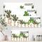 Designart - Trio of Houseplants Sanseviera Snake Plant - Farmhouse Canvas Wall Art Print